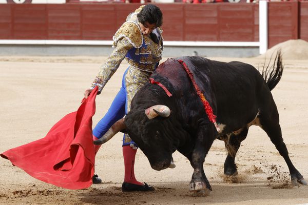 CURRO DIAZ… VUELTA EN MADRID