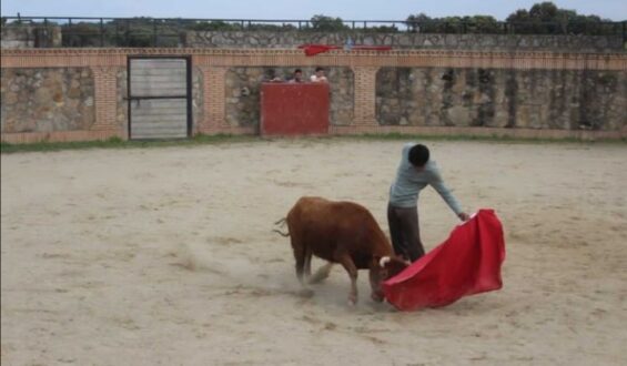 “DINASTIA” PREPARACION A TOPE