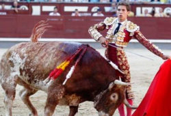 VACIA CORRIDA DE FUENTE YMBRO NO DEJO LUCIR A LOS TOREROS