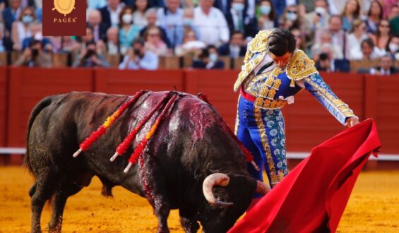 SEVILLA… CORRIDA DESABORIA