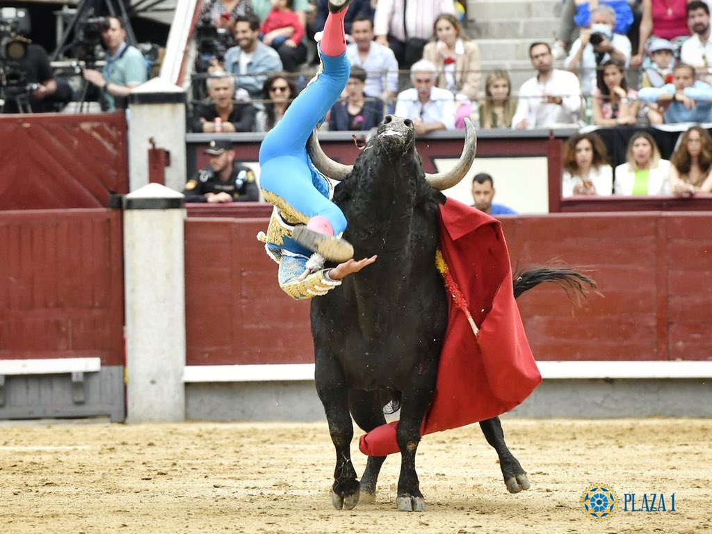 CORNADA A GINES MARIN