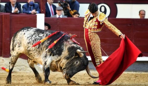 PELLIZCOS Y NA´MA CON DECEPCIONANTE CORRIDA DE JUAN PEDRO