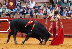 CONTUNDENTE EL JULI EN SEVILLA ABRE LA PUERTA DEL PRINCIPE