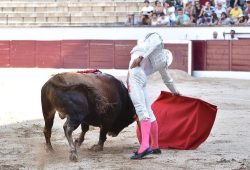 “GARCIA PULIDO” GANADOR DEL CIRCUITO DE NOVILLADAS