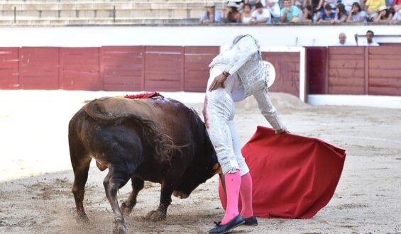 “GARCIA PULIDO” GANADOR DEL CIRCUITO DE NOVILLADAS