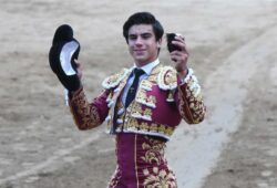 OREJA DE PESO CORTÓ COLOMBO EN PAMPLONA