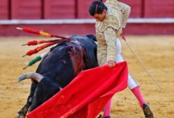 ANGEL TELLEZ, UN TORERO PARA VER