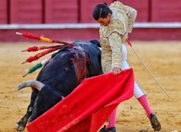 ANGEL TELLEZ, UN TORERO PARA VER