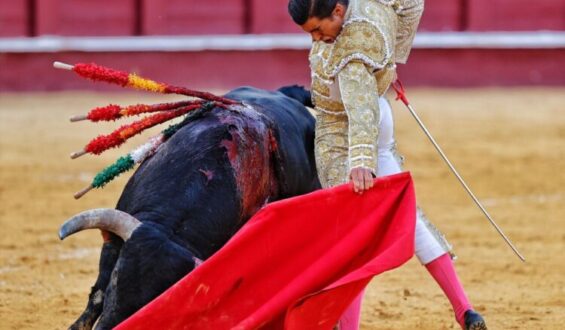 ANGEL TELLEZ, UN TORERO PARA VER