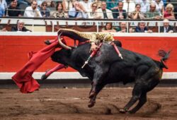 COGIDO UREÑA EN LA 7ª de BILBAO