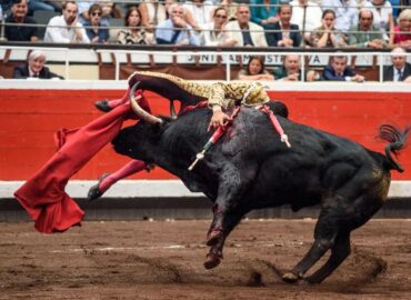 COGIDO UREÑA EN LA 7ª de BILBAO