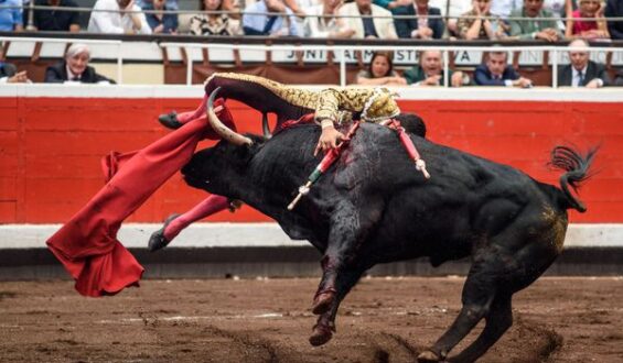 COGIDO UREÑA EN LA 7ª de BILBAO