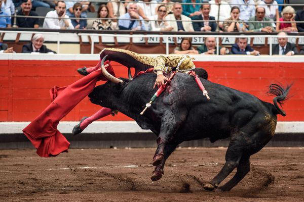 COGIDO UREÑA EN LA 7ª de BILBAO