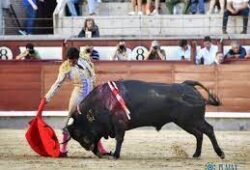 BANAL NOVILLADA EN LAS VENTAS