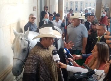 MASCOTAS AL CONGRESO