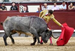 ROBLEÑO TEMA DE MADRID