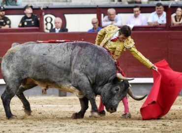 ROBLEÑO TEMA DE MADRID