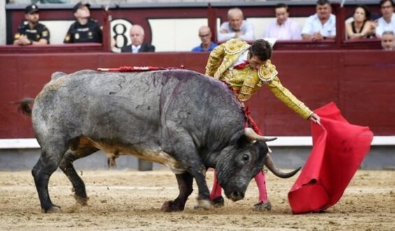 ROBLEÑO TEMA DE MADRID