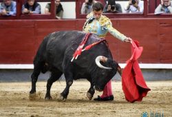 «LA PALMOSILLA» GANÓ CONCURSO