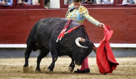 «LA PALMOSILLA» GANÓ CONCURSO