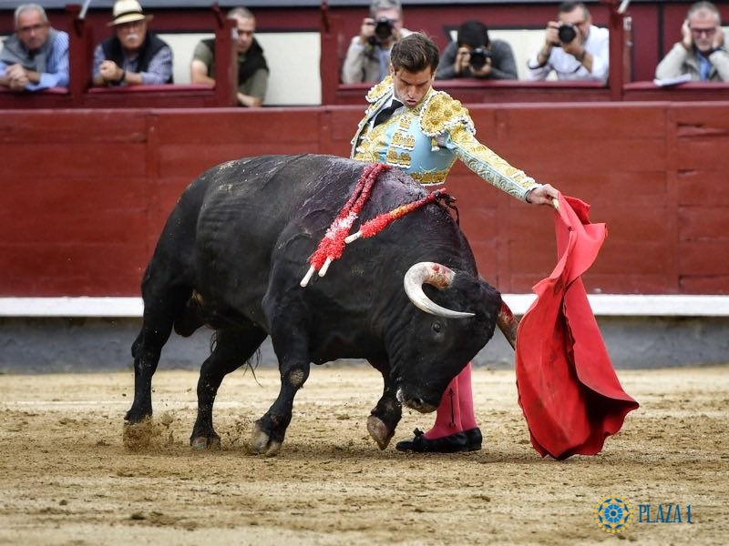 «LA PALMOSILLA» GANÓ CONCURSO