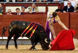 JORGE MARTINEZ… VUELTA EN LAS VENTAS