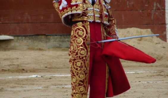 FIESTA CAMPERA CON GITANILLO DE AMERICA Jr. EN MIRANDILLA