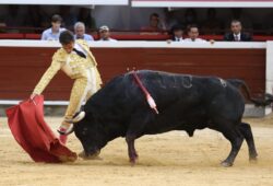 FAENA DE TRIUNFO DE L.M CASTRILLÓN EMBORRONADA CON LA ESPADA