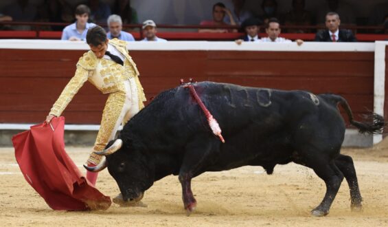 FAENA DE TRIUNFO DE L.M CASTRILLÓN EMBORRONADA CON LA ESPADA