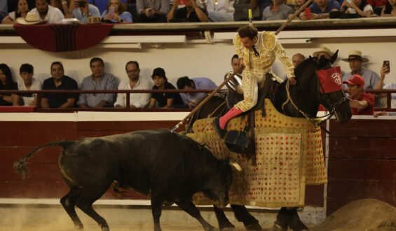 CORRIDA PARA EL RECUERDO EN CAÑAVERALEJO