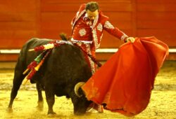 NOCHE DE ENORMES SENSACIONES EN EL FESTIVAL BENEFICO