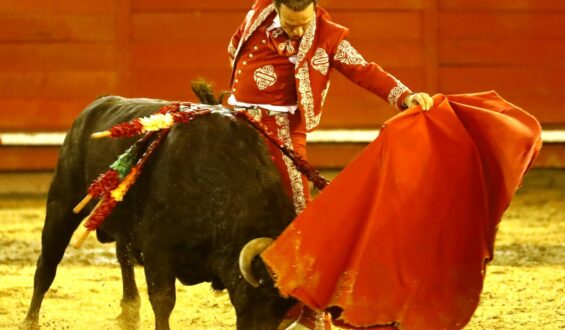 NOCHE DE ENORMES SENSACIONES EN EL FESTIVAL BENEFICO