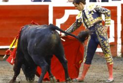 EN EL CIERRE DE LA FERIA DE MANIZALES: GANADO DE  E. GUTIERREZ SIN CASTA. “EL JULI” ABRONCADO, ROCA REY TRES OREJAS