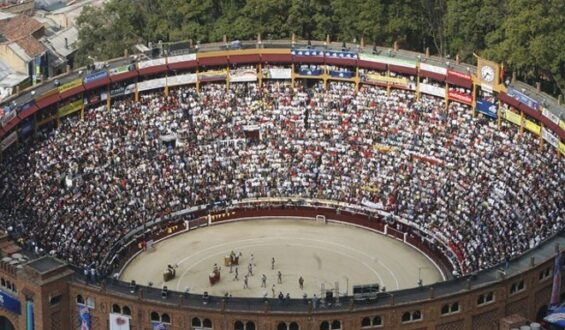 VOLVERAN LOS TOROS A LA SANTAMARIA. LA CORTE CONSTITUCIONAL ORDENÓ ABRIR LICITACION