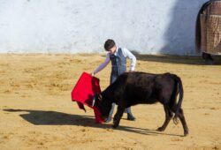 Mairena del Alcor tiene un Torero…»Manuel Dominguez»