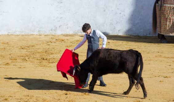 Mairena del Alcor tiene un Torero…»Manuel Dominguez»