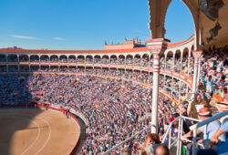 ILUSIONANTE FERIA DE SAN ISIDRO