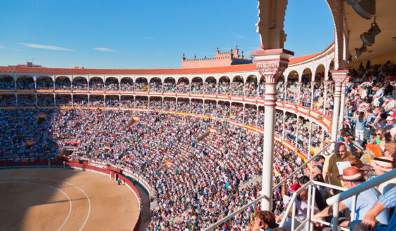 ILUSIONANTE FERIA DE SAN ISIDRO