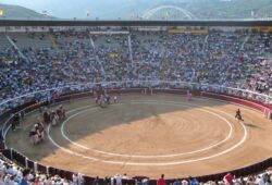 TAUROEMOCION RENUNCIA A CAÑAVERALEJO