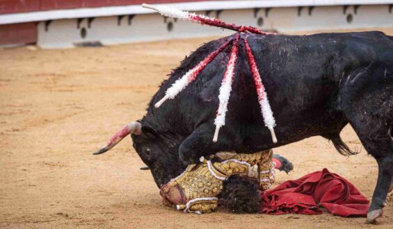 SE COMPLICA LA SALUD DE CASTELLA