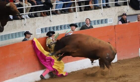 IMPRESIONANTE COGIDA DE LUIS BOLIVAR