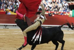 PERCANCE DE CASTELLA EN CASTELLON