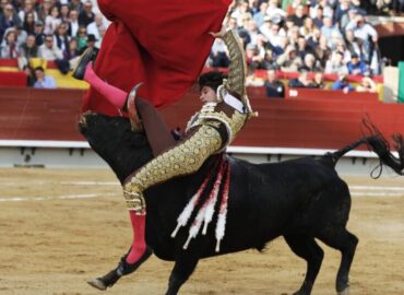 PERCANCE DE CASTELLA EN CASTELLON