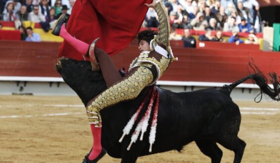 PERCANCE DE CASTELLA EN CASTELLON