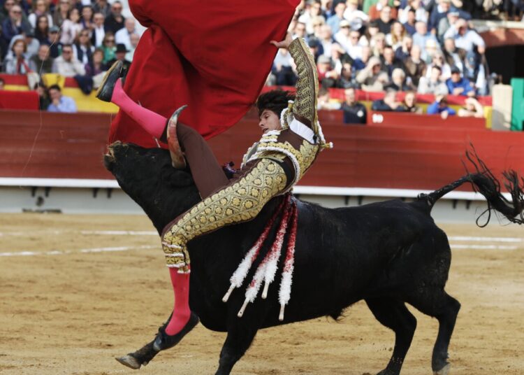 PERCANCE DE CASTELLA EN CASTELLON