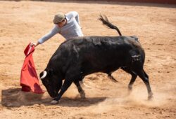 TOREROS COLOMBIANOS EN MEXICO