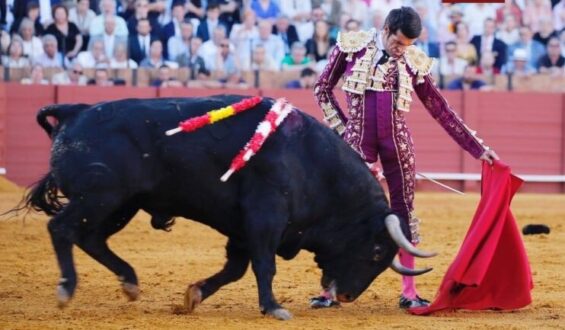 TRIUNFO DE E. DE JUSTO CON TORO DE VUELTA AL RUEDO EN SEVILLA