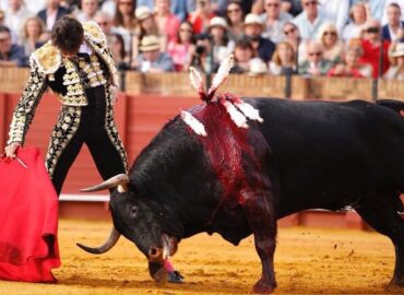 TODOS LOS TOROS LE VALEN A ROCA REY. CORTO LA OREJA DE CADA UNO DE SUS OPONENTES