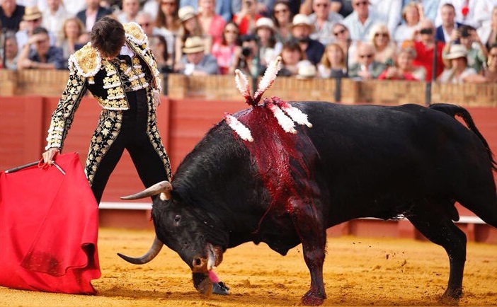 TODOS LOS TOROS LE VALEN A ROCA REY. CORTO LA OREJA DE CADA UNO DE SUS OPONENTES