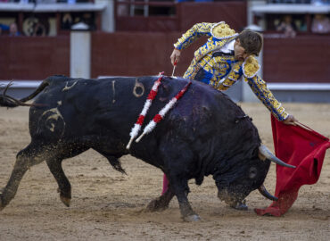 2ª NOVILLADA PASADA POR AGUA